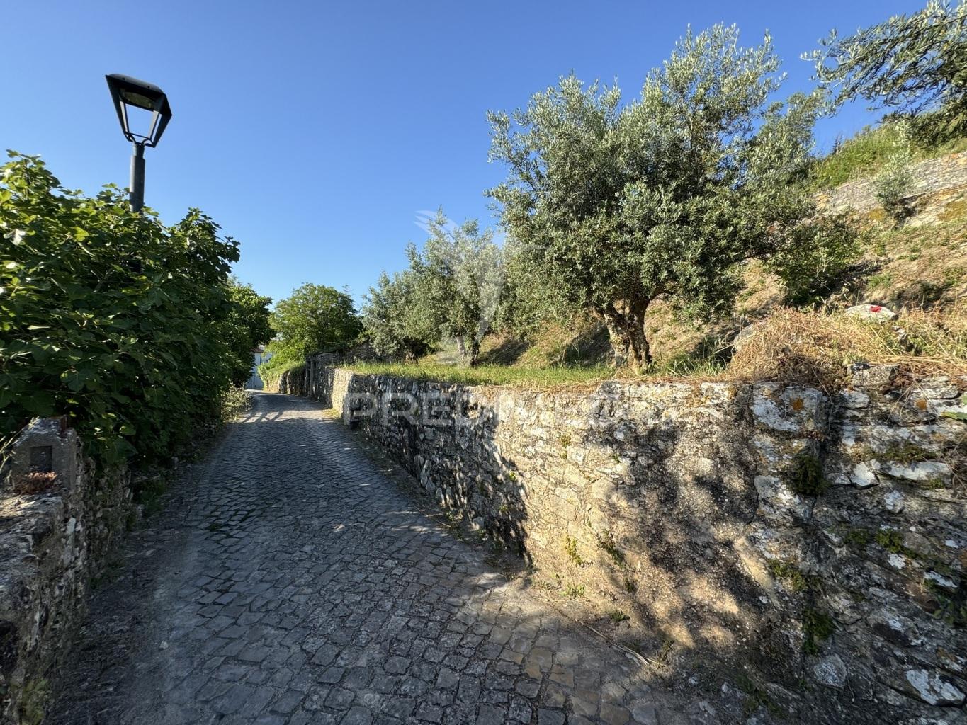 Terreno na zona histórica de ourém