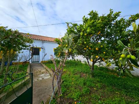 Moradia t4 com quintal no lombador, castro verde