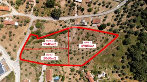Lotes de terreno para construção em seiça, ourém