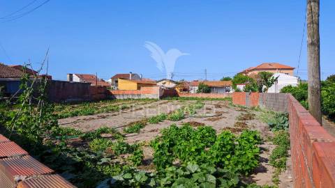Terreno de 24 m de frente gafanha da nazaré