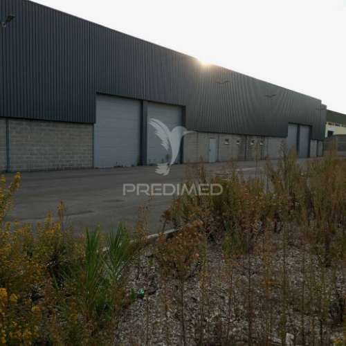 Armazéns/pavilhões - novos - zona industrial da palhaça