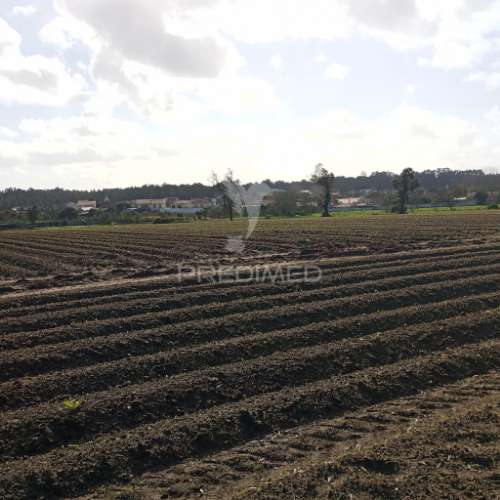 Terreno urbano - vale de ilhavo