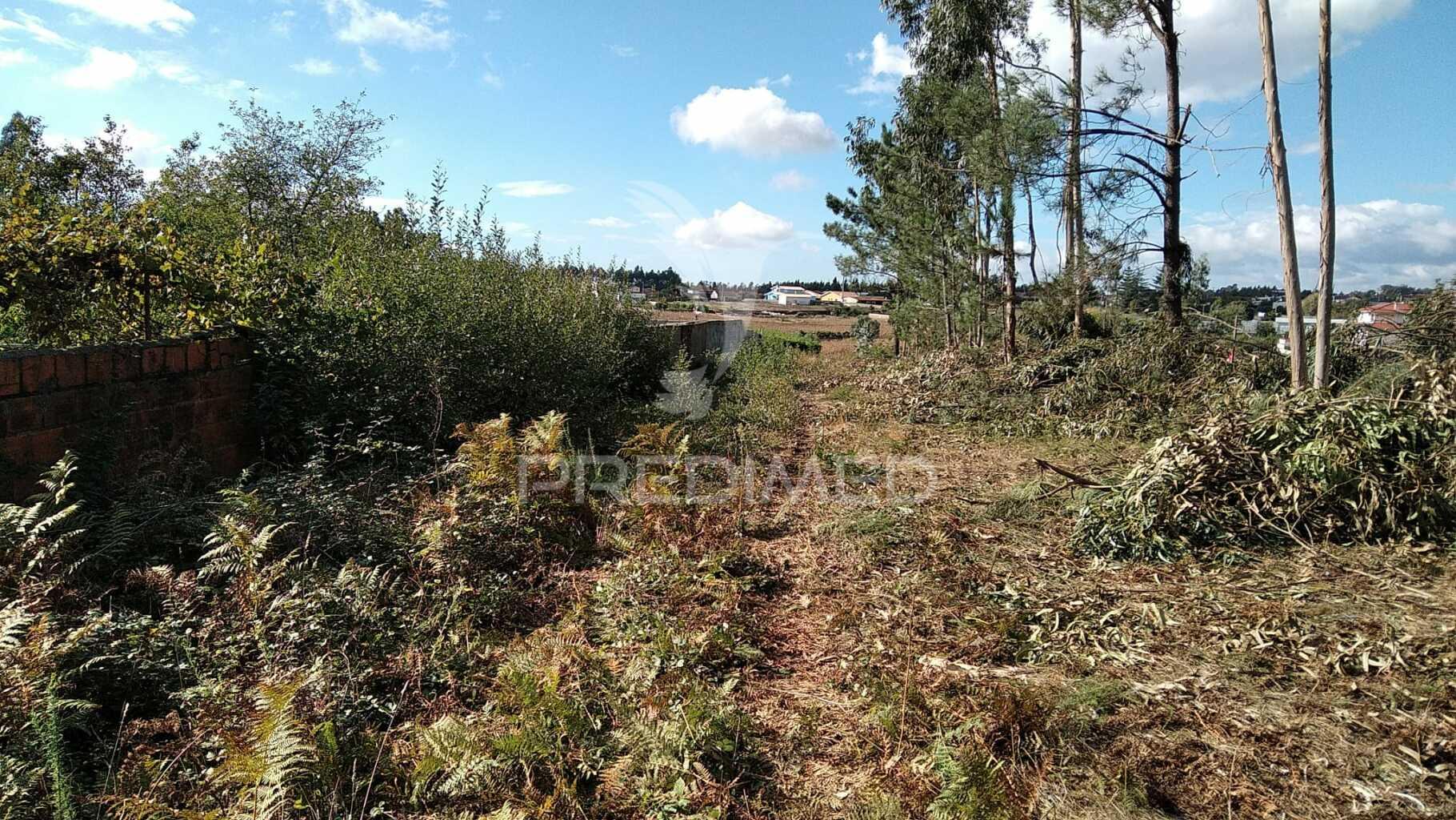 2 terrenos