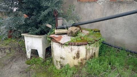Casa típica do alentejo, longomel, pote de sor
