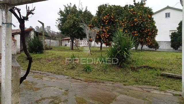 Casa tipica do ribatejo, bemposta, abrantes.