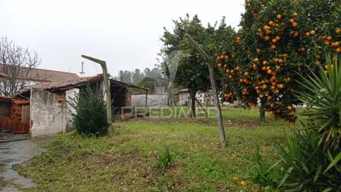 Casa tipica do ribatejo, bemposta, abrantes.