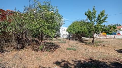Casa de rés do chão com quintal, sousel.