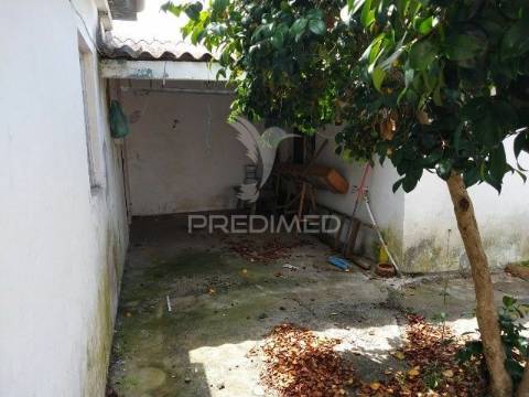 Conjunto de duas casas, parreira- chamusca