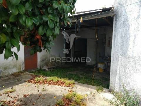 Conjunto de duas casas, parreira- chamusca