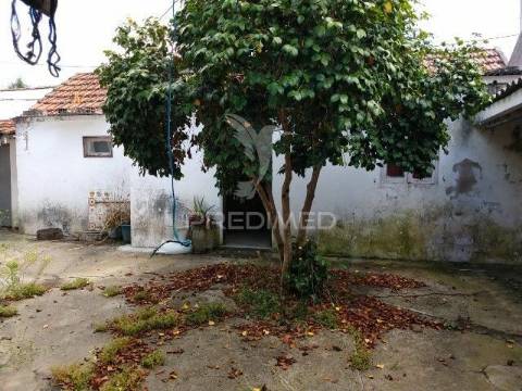 Conjunto de duas casas, parreira- chamusca