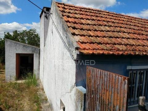 Conjunto de duas casas, parreira- chamusca