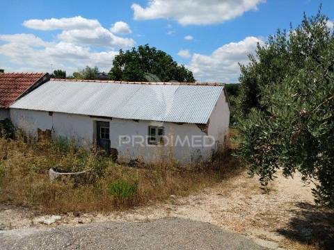 Conjunto de duas casas, parreira- chamusca