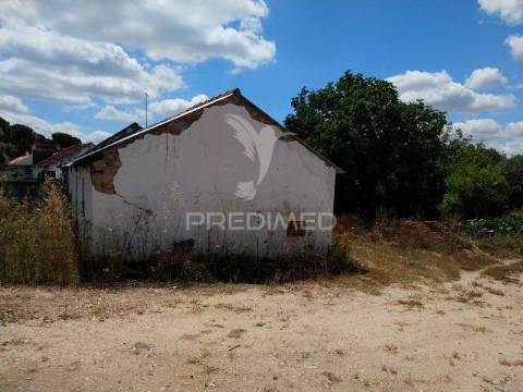 Conjunto de duas casas, parreira- chamusca