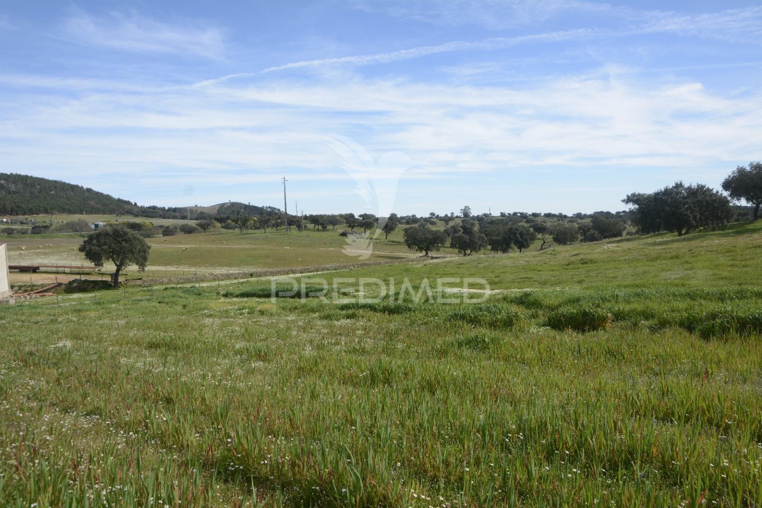 Herdade em são tiago urra