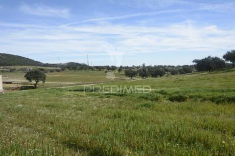 Herdade em são tiago urra
