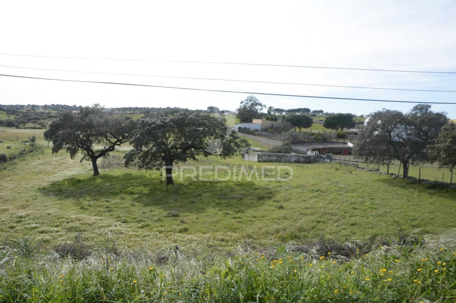 Herdade em são tiago urra