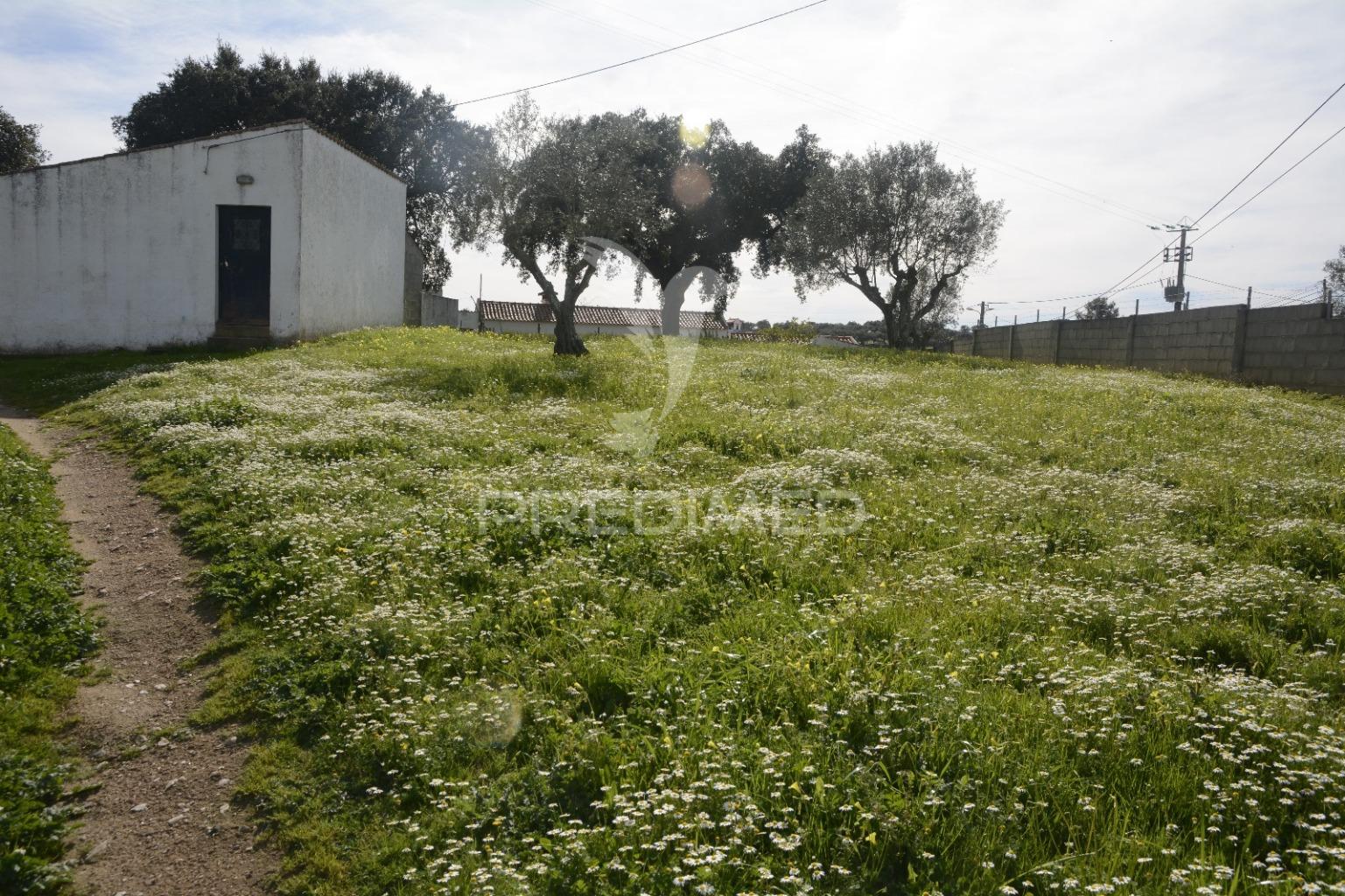 Herdade em são tiago urra