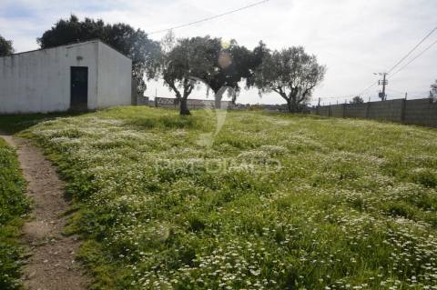 Herdade em são tiago urra