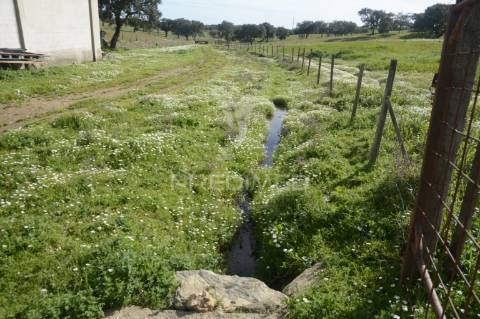 Herdade em são tiago urra