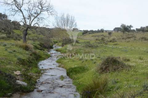 Herdade em são tiago urra