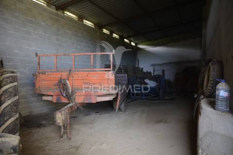 Herdade em são tiago urra