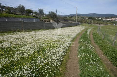 Herdade em são tiago urra