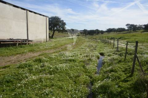 Herdade em são tiago urra