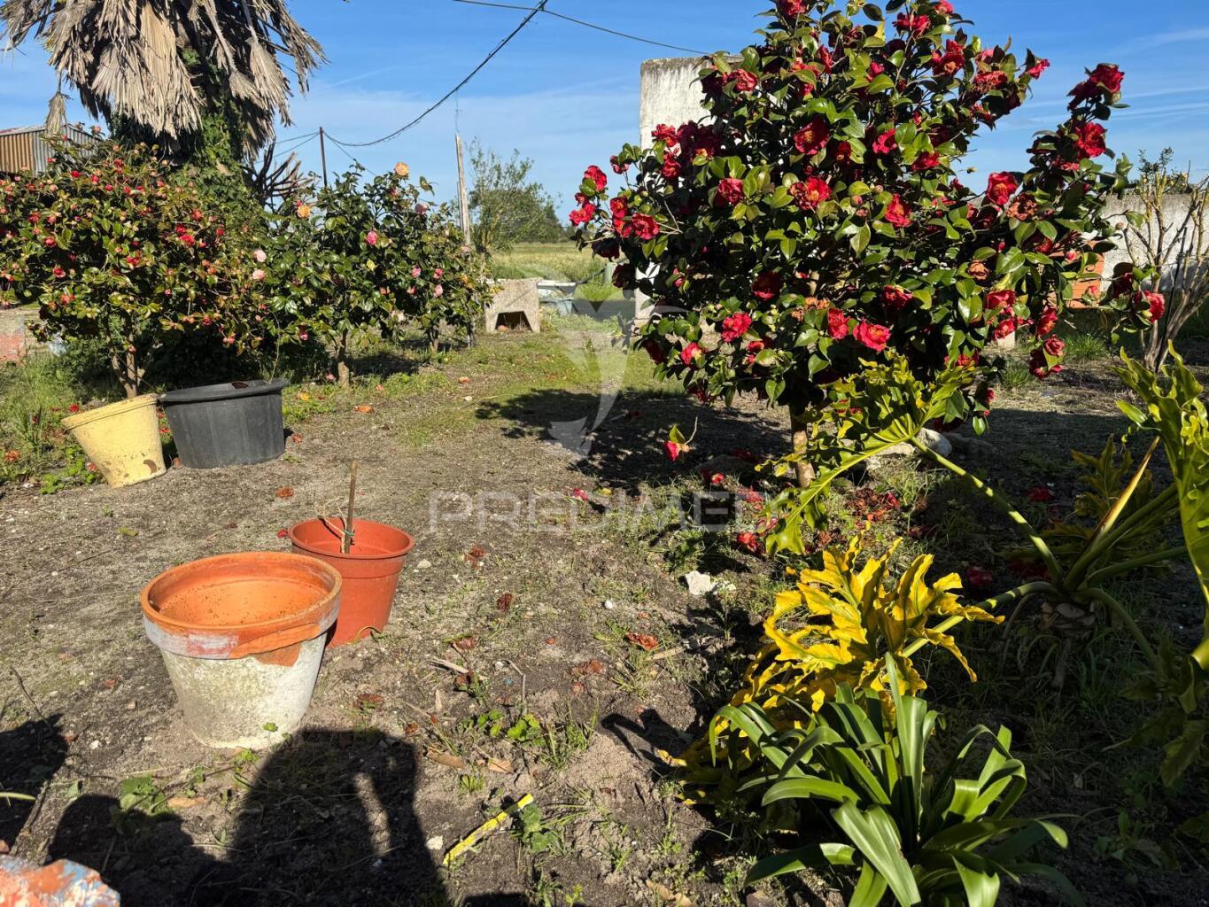 Excelente oportunidade:  casa de campo t2 + 1 em zona rural calma