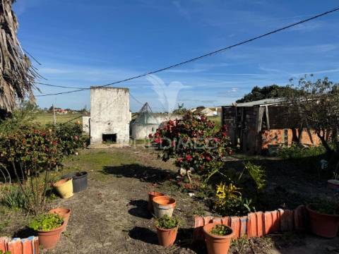 Excelente oportunidade:  casa de campo t2 + 1 em zona rural calma