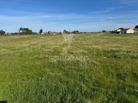 Excelente oportunidade:  casa de campo t2 + 1 em zona rural calma