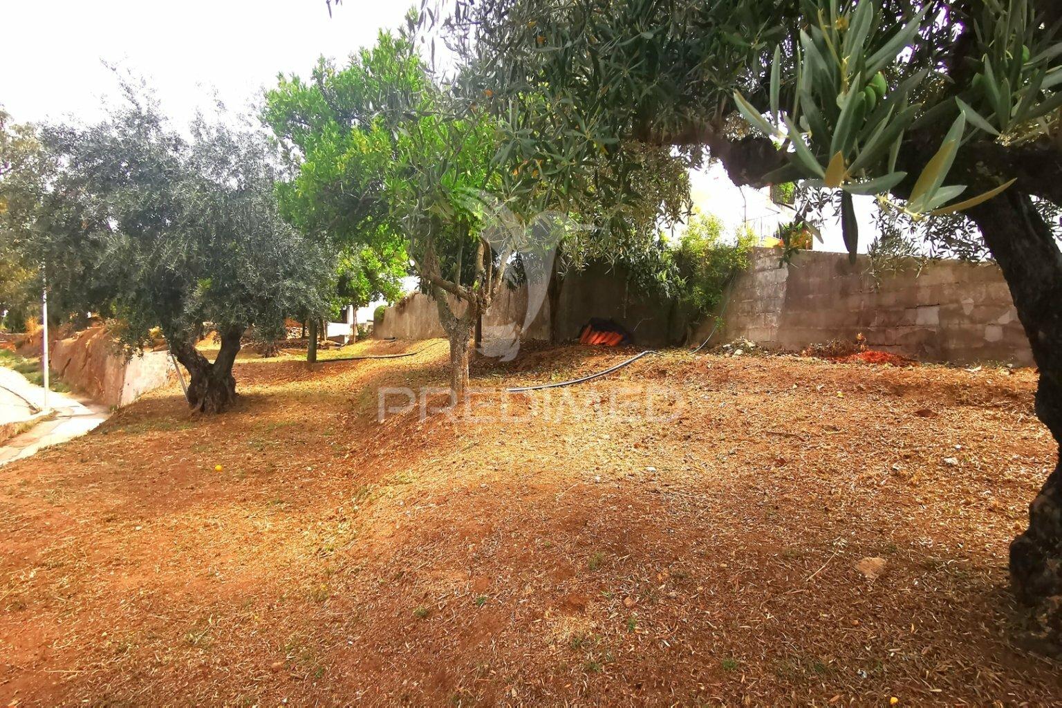 Prédio /quinta em portalegre