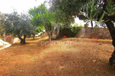 Prédio /quinta em portalegre