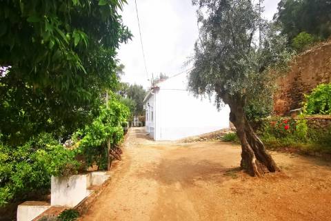 Prédio /quinta em portalegre