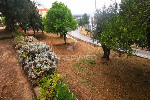 Prédio /quinta em portalegre