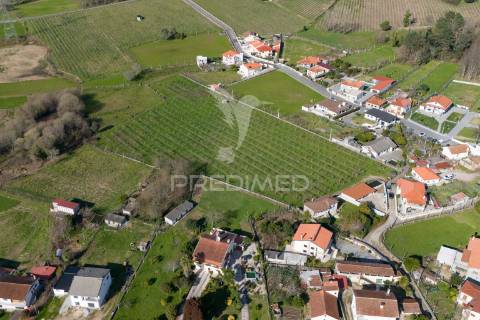 Quinta com área de construção (pip aprovado)