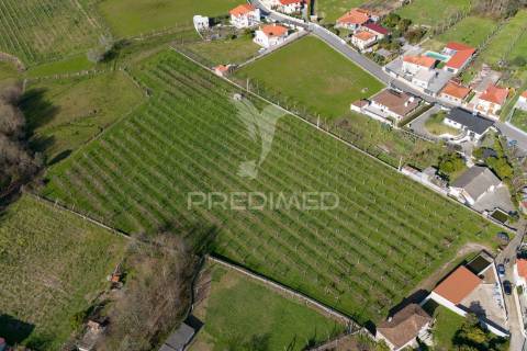 Quinta com área de construção (pip aprovado)