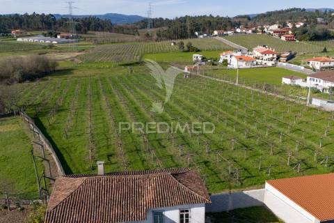 Quinta com área de construção (pip aprovado)