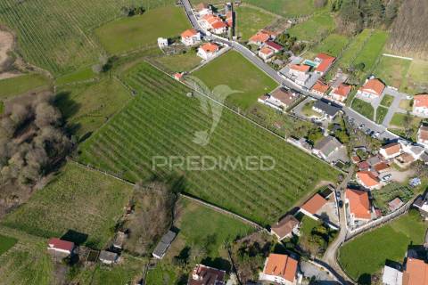 Quinta com área de construção (pip aprovado)