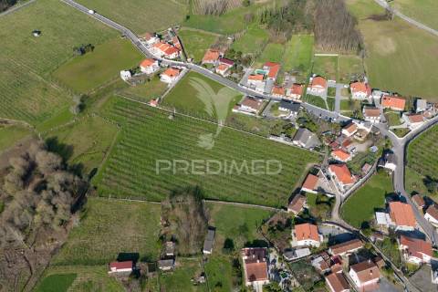 Quinta com área de construção (pip aprovado)