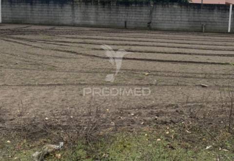 Terreno construção - estela