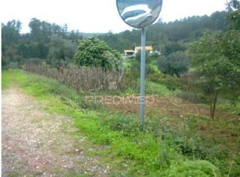 Terreno com capacidade para construção