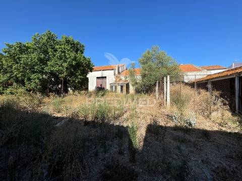 Moradia à recuperar - ervidel