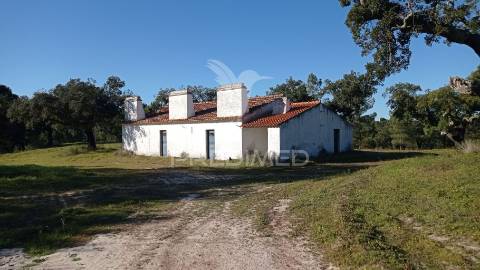 Conjunto de duas herdades 71,70 hectares, junto à vila de mora.