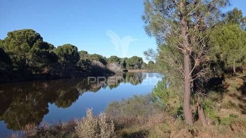 Conjunto de duas herdades 71,70 hectares, junto à vila de mora.