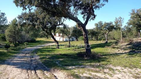 Conjunto de duas herdades 71,70 hectares, junto à vila de mora.