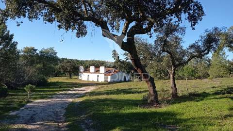 Conjunto de duas herdades 71,70 hectares, junto à vila de mora.