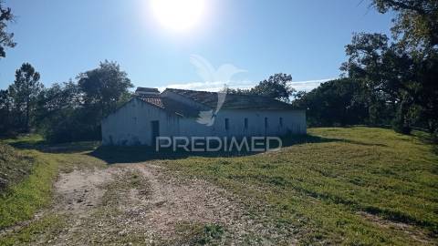 Conjunto de duas herdades 71,70 hectares, junto à vila de mora.