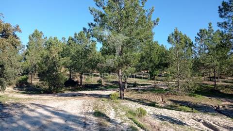 Conjunto de duas herdades 71,70 hectares, junto à vila de mora.