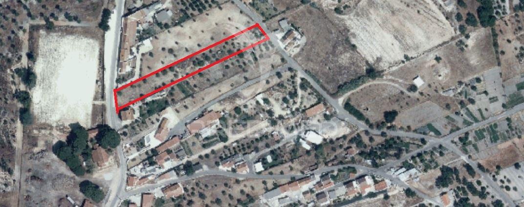 Terreno c/ viabilidade de construção, montargil