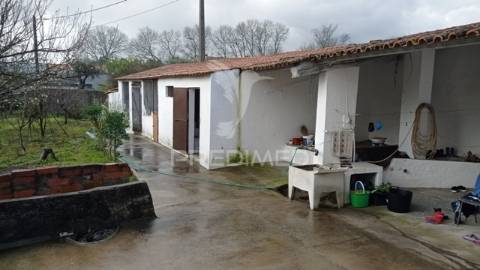Quintinha isolada, com 710 m2 de terreno, em margem, concelho de gavião.